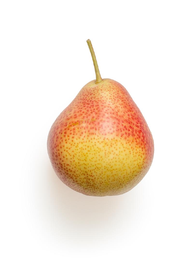 Featured image of post PHP howto: Installing PEAR with WAMP on Window