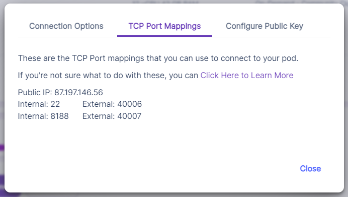 Pod TCP port mappings.